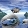Dolphins