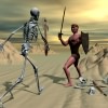Duel