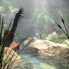 Jungle Angel