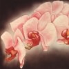watercolor and airbrush