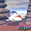 Flight