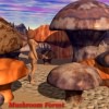 Mushroom Forest