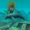 Swimming with Dolphins