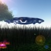 Ayep, it is always in a field somewhere
