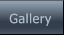 Gallery Gallery